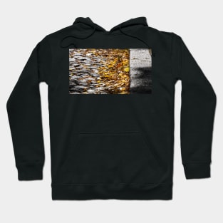 Autumn Street Hoodie